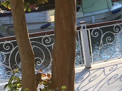 ağva riverangel butik hotel