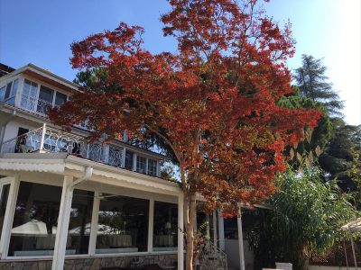 agva Riverangel Hotel