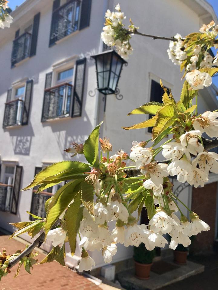 riverangel ağva otelleri